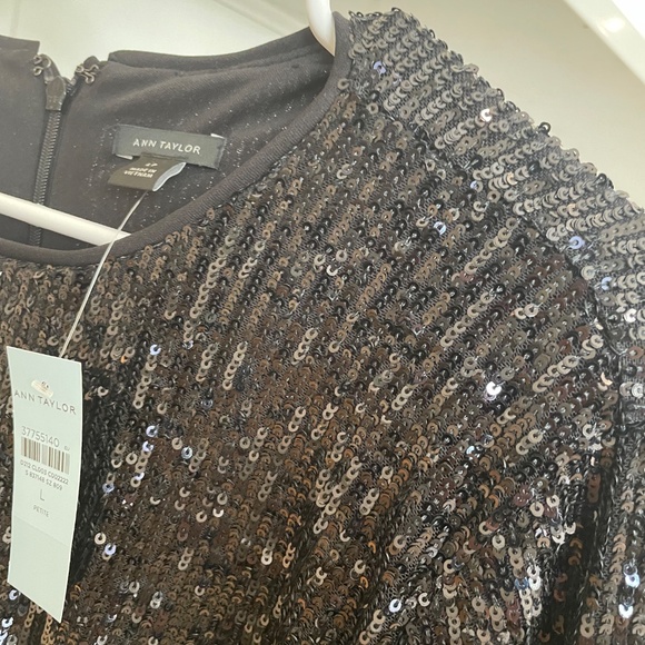 NWT Ann Taylor sequin popover PL - Picture 5 of 5